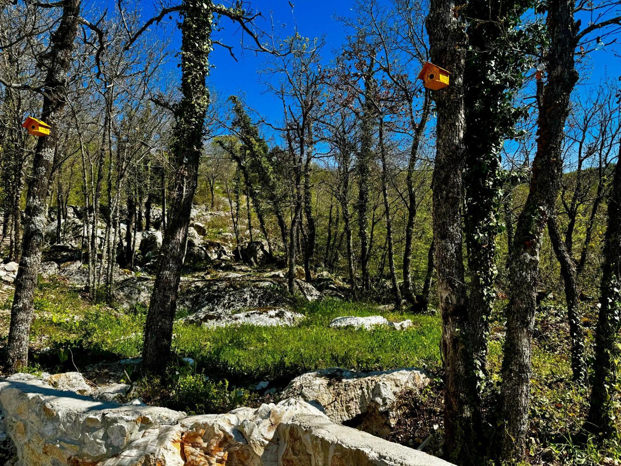 Luxury Villa Andrea Vrzika In Forest Near The Sea Zagvozd Екстериор снимка